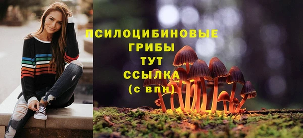 скорость Балахна